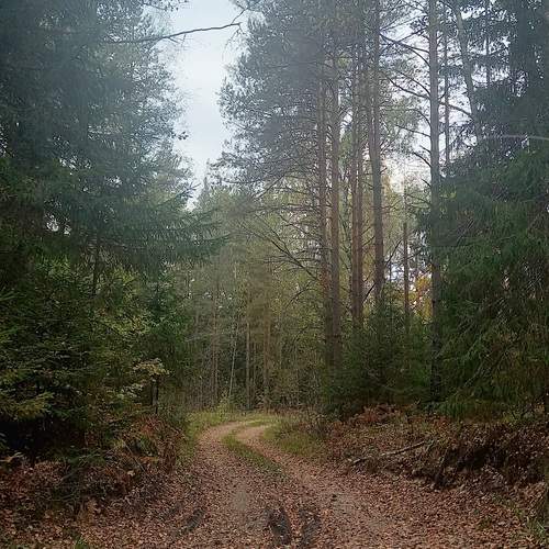 Photo #12787833