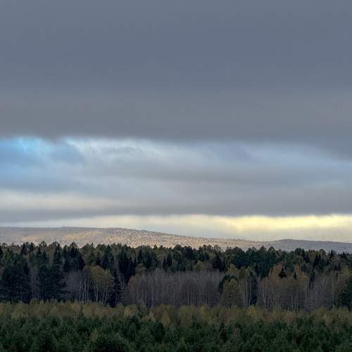 Photo #12787845