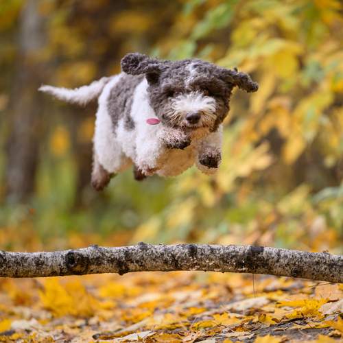 Photo #12787971