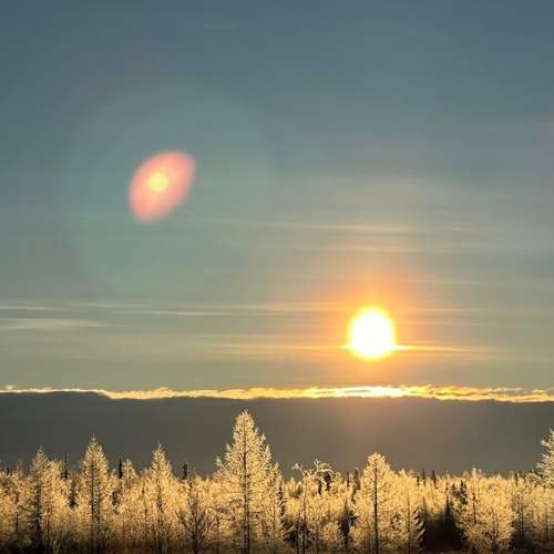 Photo #12788215