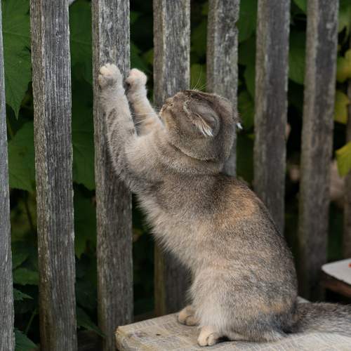 Photo #12788382
