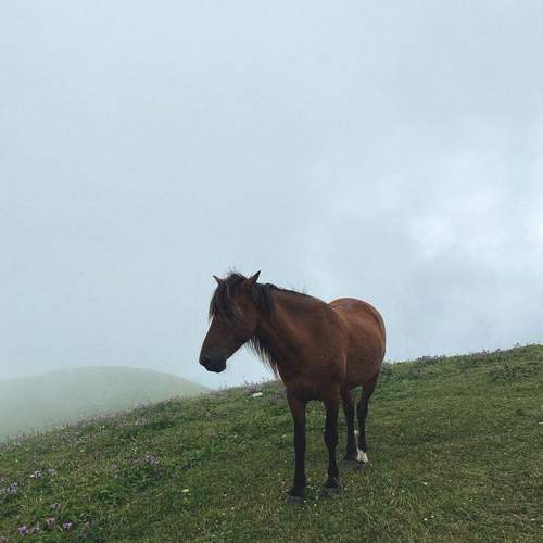 Photo #12788423