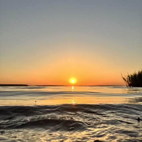 Photo #12788501