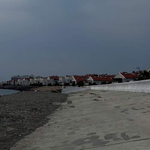 Photo #12788527