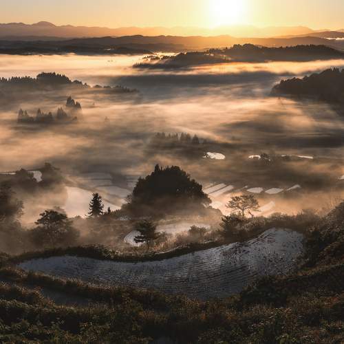 Фотография #12788552