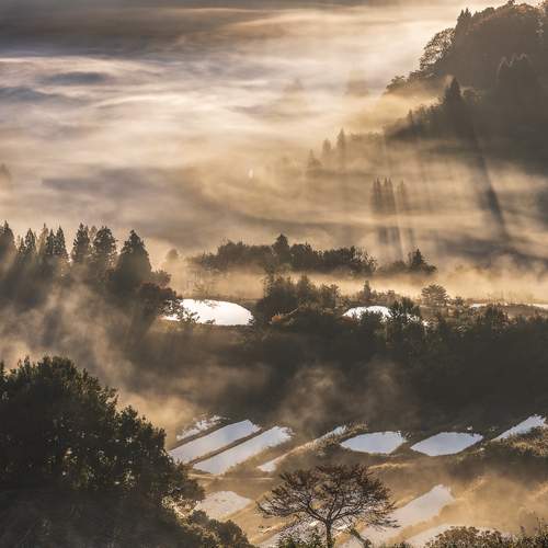 Фотография #12788558