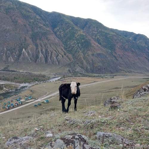 Photo #12788646