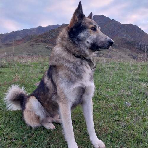 Photo #12788650