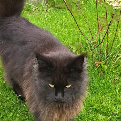 Photo #12788949