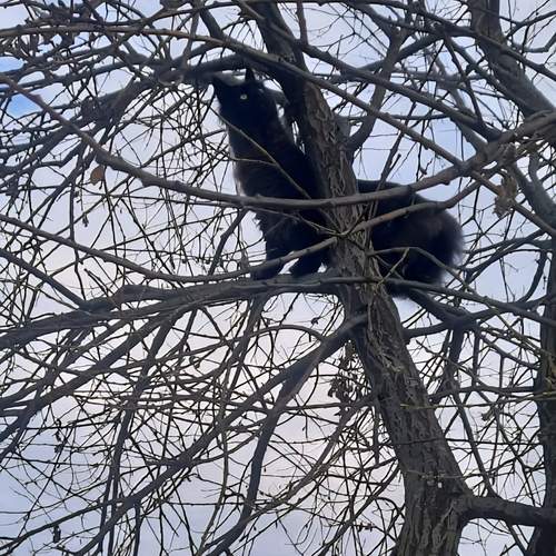 Photo #12788950