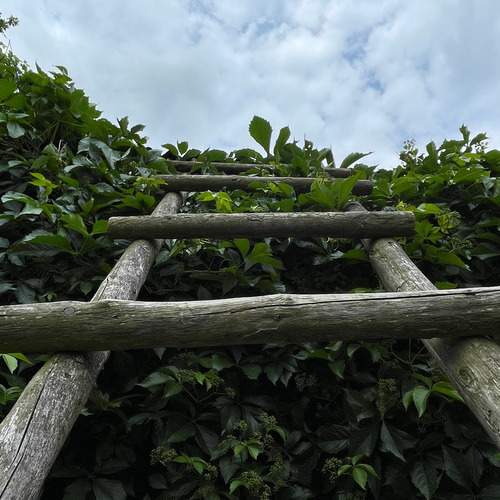 Photo #12789109