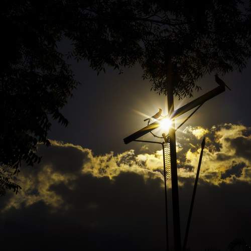 Photo #12789196