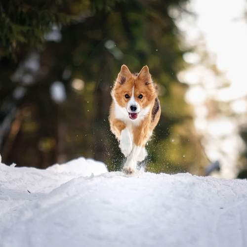 Photo #12789223