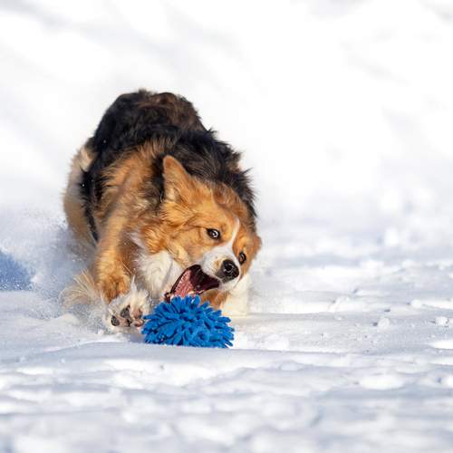 Photo #12789224