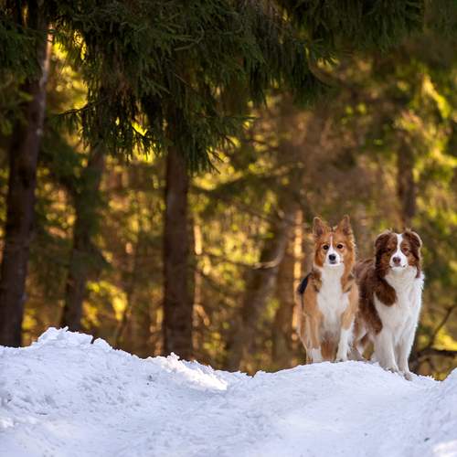 Photo #12789225