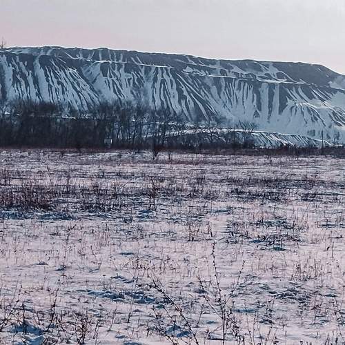 Photo #12789530