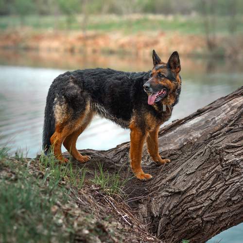 Photo #12789670