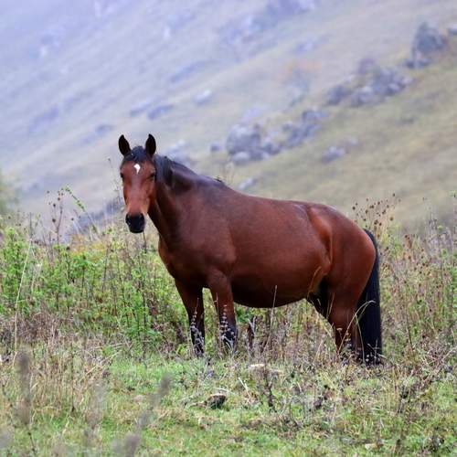 Photo #12789710