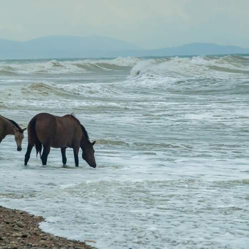 Photo #12789817
