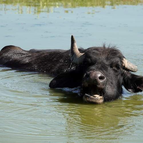 Photo #12789899