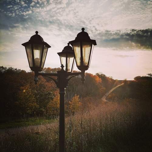 Photo #12790002