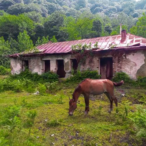 Photo #12790043