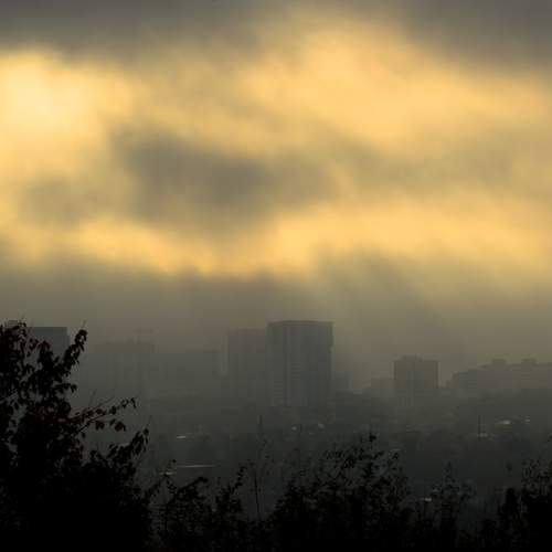 Photo #12790076