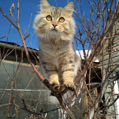 Photo #12790108