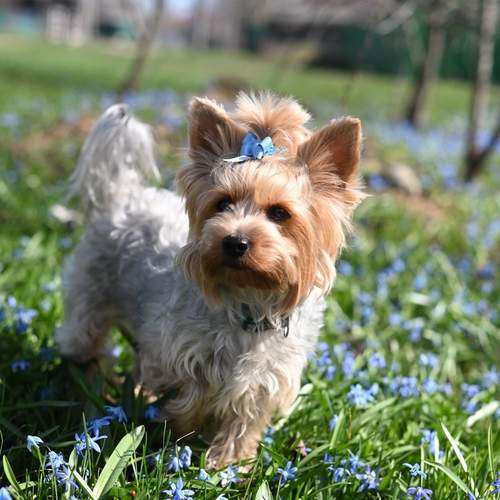 Photo #12790469