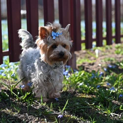 Photo #12790470