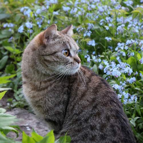 Photo #12790630
