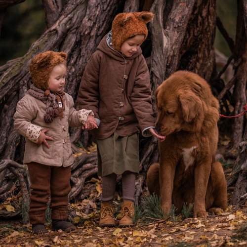 Photo #12790642