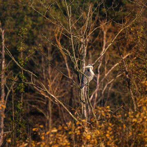 Photo #12790794