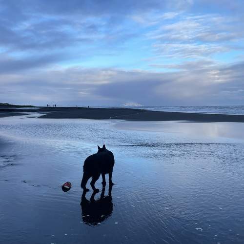 Photo #12791011