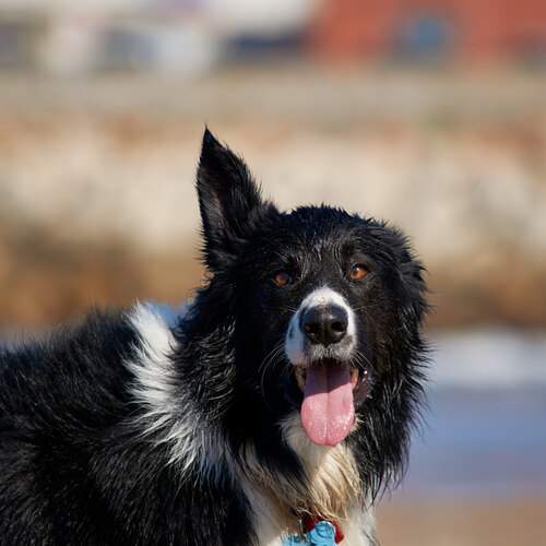 Photo #12791057