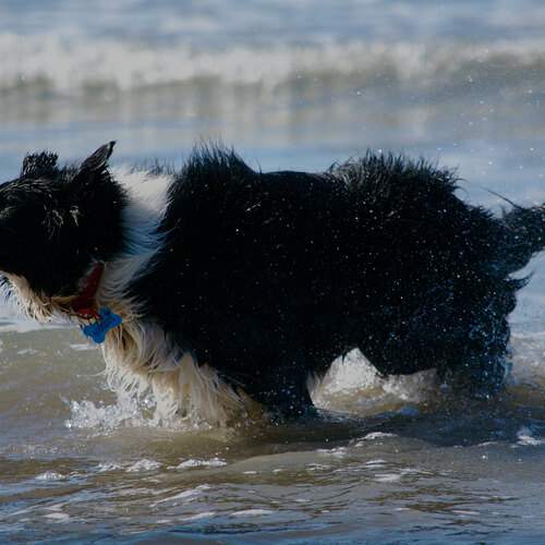 Photo #12791058
