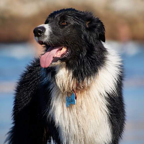 Photo #12791059