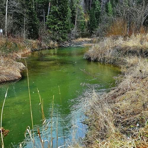 Photo #12791174