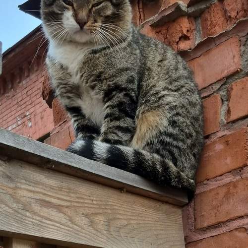 Photo #12791365