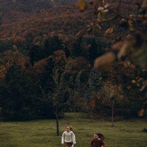 Photo #12791388