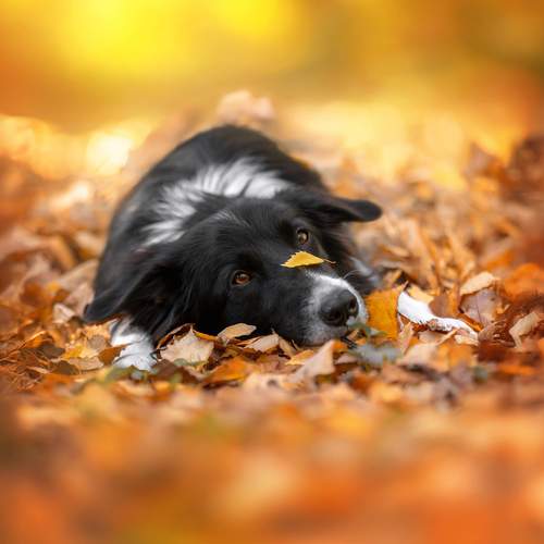 Photo #12791403