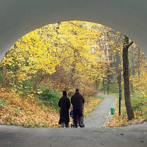 Photo #12791426