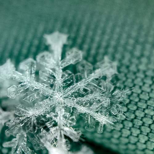 Photo #12791496