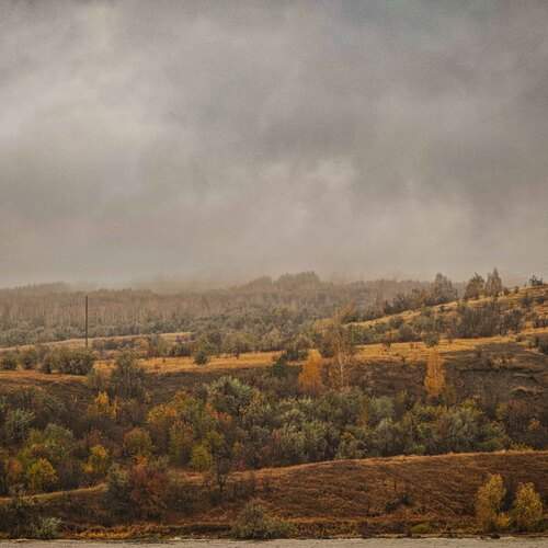 Photo #12791690