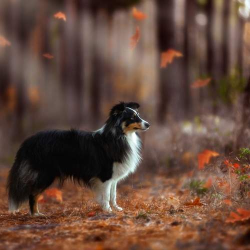 Photo #12791802