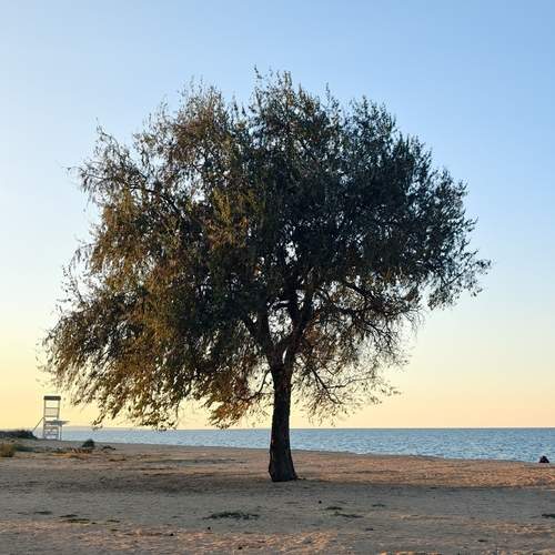 Photo #12791853