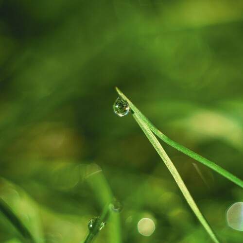Photo #12791897