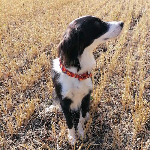 Photo #12791924