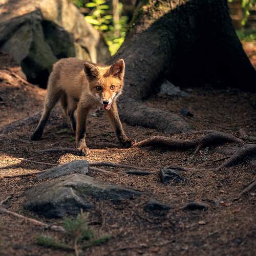 Фотография #12792045