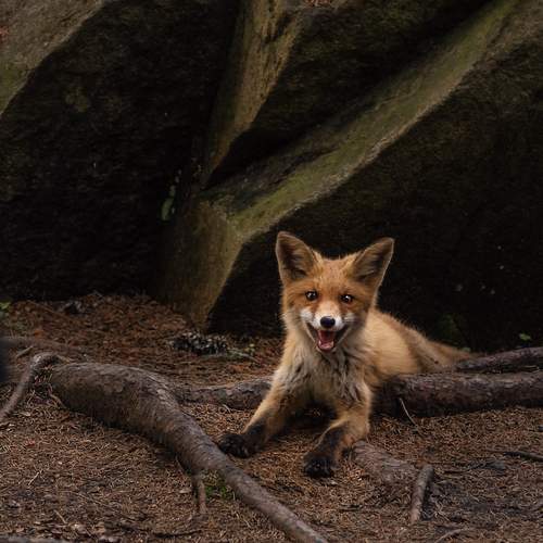 Фотография #12792063